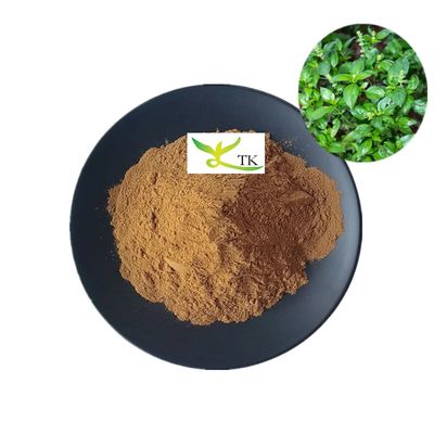 Extracto natural de Kalmegh TCM y extracto de Andrographis Paniculata en polvo