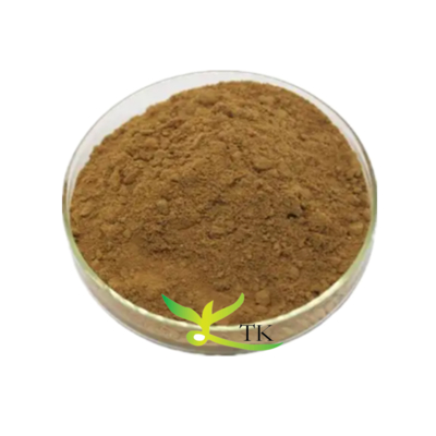 Muestra al por mayor precio gratuito extracto de saponina del té verde extracto de camellia sinensis extracto de saponina del té a granel