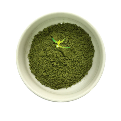 El mejor precio de extracto de hoja de moringa orgánico natural puro, extracto de Moringa Oleifera