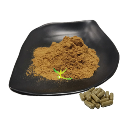 Polvo de extracto de Tribulus Terrestris y Maca 100% natural para suplementos de salud