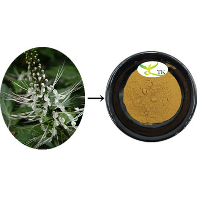 Ortosiphon Aristatus natural Extracto de Ortosiphon Extracto de hojas Polvo de limpieza Calculi