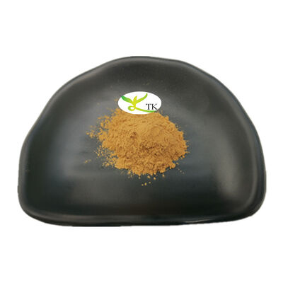 Precio al por mayor de extracto en polvo soluble en agua de semilla de Paullinia Cupana natural
