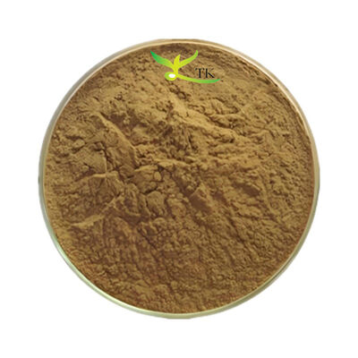 Extracto Natural de Ecklonia Cava de Grado Alimenticio Ecklonia Cava en Polvo para Suplementos