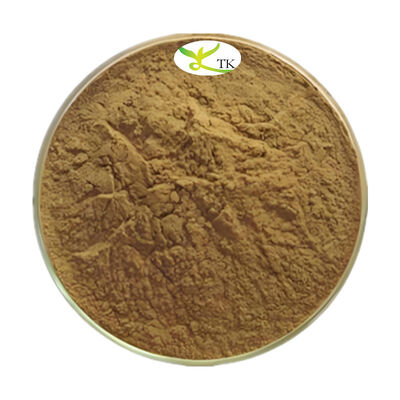 Extracto natural de hierbas Alpinia Officinarum Extracto de raíz de Galangal Extracto en polvo