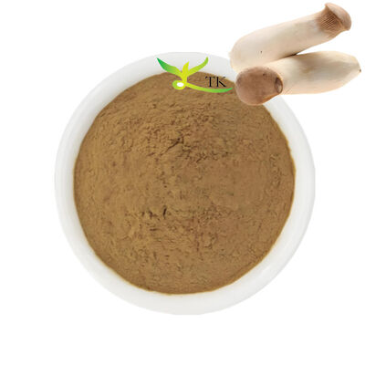 Suplemento natural de hongos King Trumpet Extracto de hongos en polvo Polisacáridos 20%