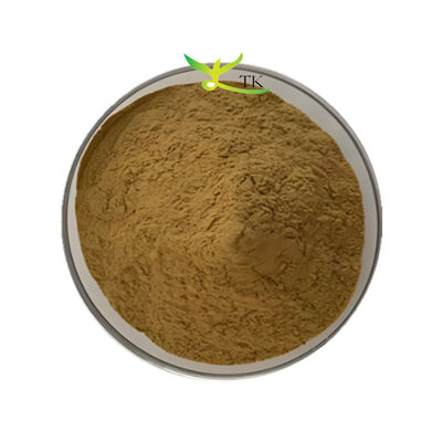 Suministro de fábrica Extracto de Bacopa Monnieri 40% Bacopasides en polvo Extracto de Brahmi en polvo