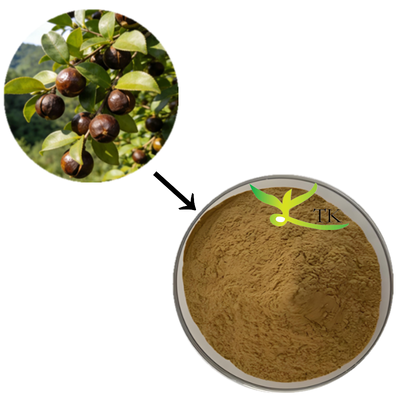 Precio al por mayor 100% extracto natural de Camellia Sinensis en polvo, extracto de saponina de té para cosméticos