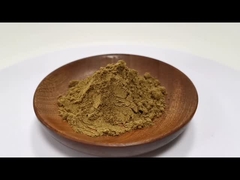 Precio al por mayor Extracto vegetal natural en polvo 5% Flavonoides Extracto de diente de león en polvo