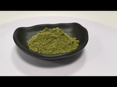 Extracto de moringa 100% natural en polvo Oleifera Moringa hoja en polvo Cápsulas de moringa
