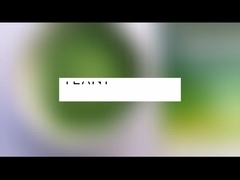 Al por mayor Moringa Oleifera Polvo de té Polvo de hojas de moringa Cápsulas en polvo a granel