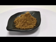 100% extracto de semillas de fenogreco natural en polvo 10:1 extracto de fenogreco saponina 50% precio