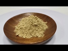 Extracto de raíz de Panax Ginseng 100% natural puro Ginsenosides en polvo 10% ~ 80%