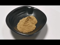 Grado alimenticio Mejor precio Aloe Vera en polvo Extracto natural de Aloe Vera en stock