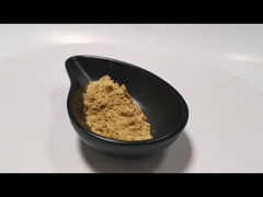 Extracto vegetal natural en polvo Extracto de hongo en polvo