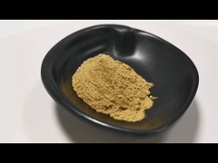 Extracto de Aurantium de la fruta cítrica