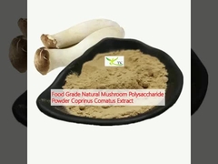 Polisacárido de hongo natural de grado alimentario en polvo Coprinus Comatus Extracto