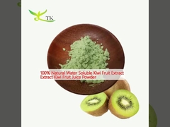 Extracto de fruta de kiwi natural 100% soluble en agua Extracto de jugo de fruta de kiwi en polvo