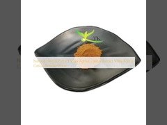 Extracto de hierbas naturales Vitex Agnus Castus Extracto de Vitex Agnus Castus Precio en polvo