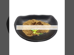 100% de calidad alimentaria natural Salsola Collina Extracto Salsola Collina Precio en polvo