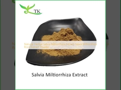 Extracto de hierbas naturales de Salvia Miltiorrhiza Extracto de raíz de Salvia Miltiorrhiza en polvo