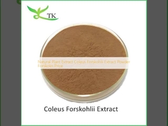 Extracto natural de plantas Coleus Forskohlii Extracto en polvo Forskolin precio