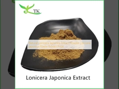 Extracto natural de Lonicera japonica en polvo Extracto de flor de Lonicera japonica