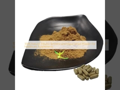 Polvo de extracto de Tribulus Terrestris y Maca 100% natural para suplementos de salud