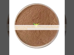 Extracto natural de hoja de Ginkgo Biloba Extracto de flavonoides de Ginkgo 24% Lactona 6%