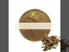 Ginseng siberiano natural puro Eleutherococcus senticosus en polvo de raíz 10:1 Acanthopanax senticosus rizoma Eleuthero en polvo de extracto de raíz