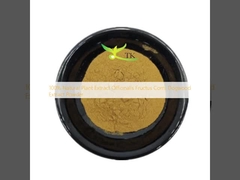 100% Extracto Natural de Planta Officinalis Fructus Corni, Extracto de Cornus Dogwood en Polvo