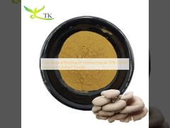 Polisacárido de hongo natural puro 30% Extracto de hongo de ostras en polvo