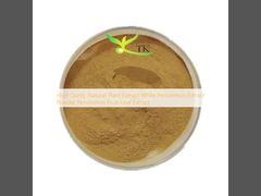 Extracto de caqui blanco de alta calidad de extracto natural de plantas, extracto de fruta/hoja de caqui