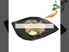 Extracto de raíz de ginseng Panax 100% natural, polvo de raíz de ginseng a granel