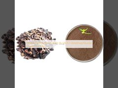 Extracto de Jengibre Negro Tailandés 1% 5% 5,7-dimetoxiflavona en Polvo Para Hombres