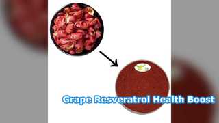 Resveratrol de piel de uva 5% 10% al por mayor