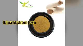 El extracto de hongo ostra aumenta la inmunidad y el poder cerebral